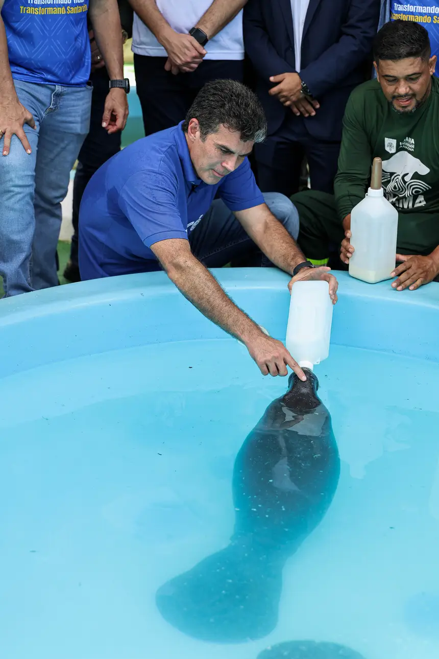  <div class='credito_fotos'>Foto: Marco Santos / Ag. Pará &nbsp;&nbsp;|&nbsp;&nbsp; <a href='/midias/2026/originais/20260324153738-GF00026636-F00503067.jpg' download><i class='fa-solid fa-download'></i> Download</a></div>