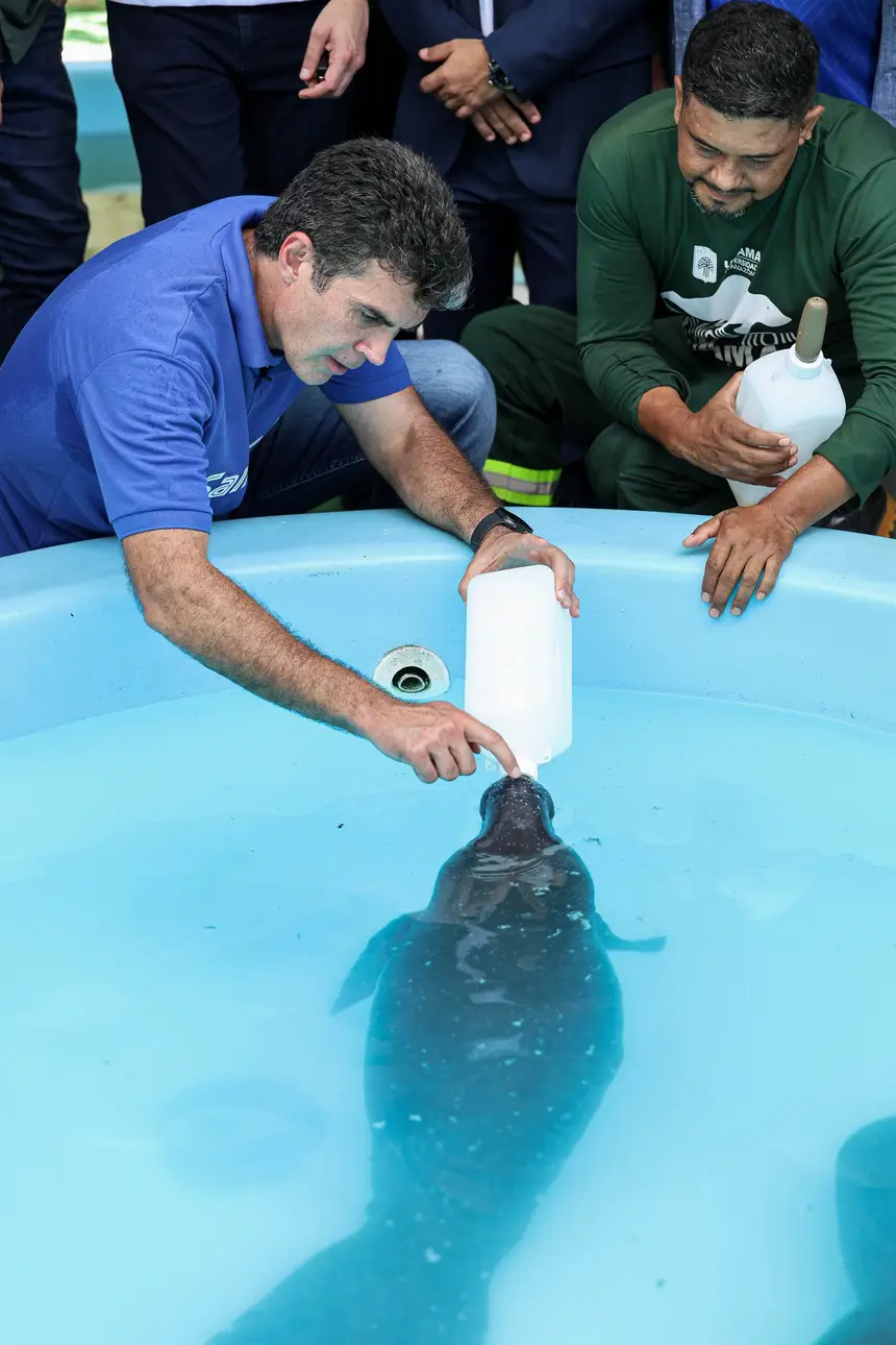  <div class='credito_fotos'>Foto: Marco Santos / Ag. Pará &nbsp;&nbsp;|&nbsp;&nbsp; <a href='/midias/2026/originais/20260324153741-GF00026636-F00503068.jpg' download><i class='fa-solid fa-download'></i> Download</a></div>