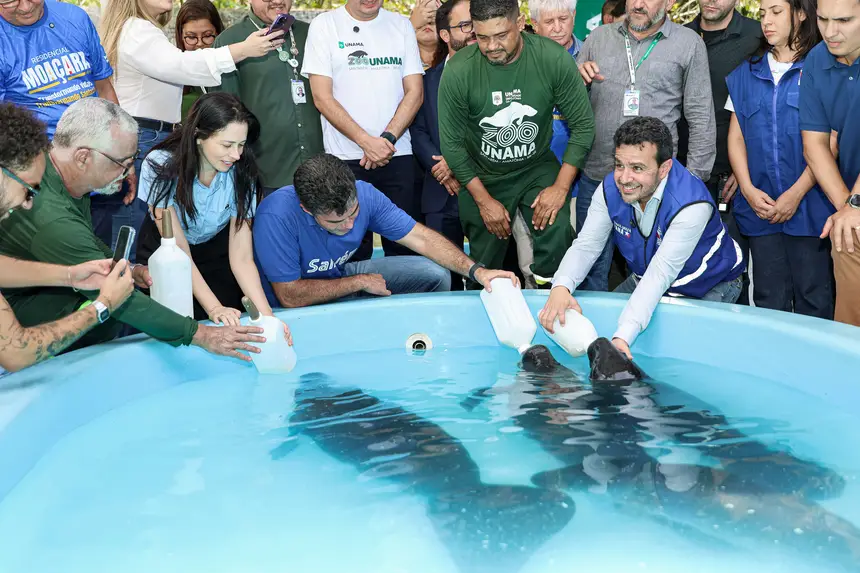  <div class='credito_fotos'>Foto: Marco Santos / Ag. Pará &nbsp;&nbsp;|&nbsp;&nbsp; <a href='/midias/2026/originais/20260324153749-GF00026636-F00503071.jpg' download><i class='fa-solid fa-download'></i> Download</a></div>