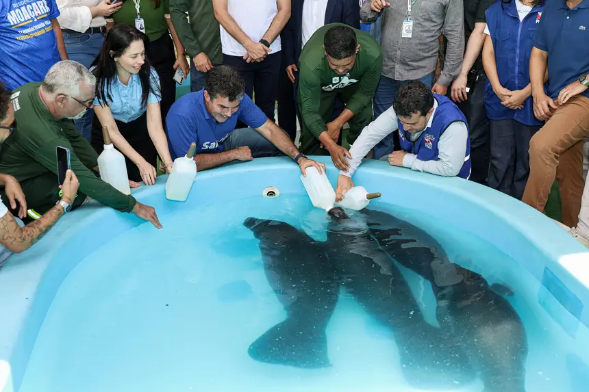  <div class='credito_fotos'>Foto: Marco Santos / Ag. Pará &nbsp;&nbsp;|&nbsp;&nbsp; <a href='/midias/2026/originais/20260324153751-GF00026636-F00503072.jpg' download><i class='fa-solid fa-download'></i> Download</a></div>