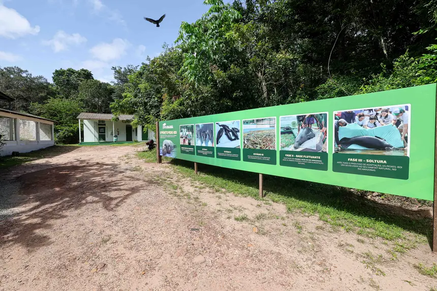  <div class='credito_fotos'>Foto: Marco Santos / Ag. Pará &nbsp;&nbsp;|&nbsp;&nbsp; <a href='/midias/2026/originais/20260324153833-GF00026636-F00503087.jpg' download><i class='fa-solid fa-download'></i> Download</a></div>