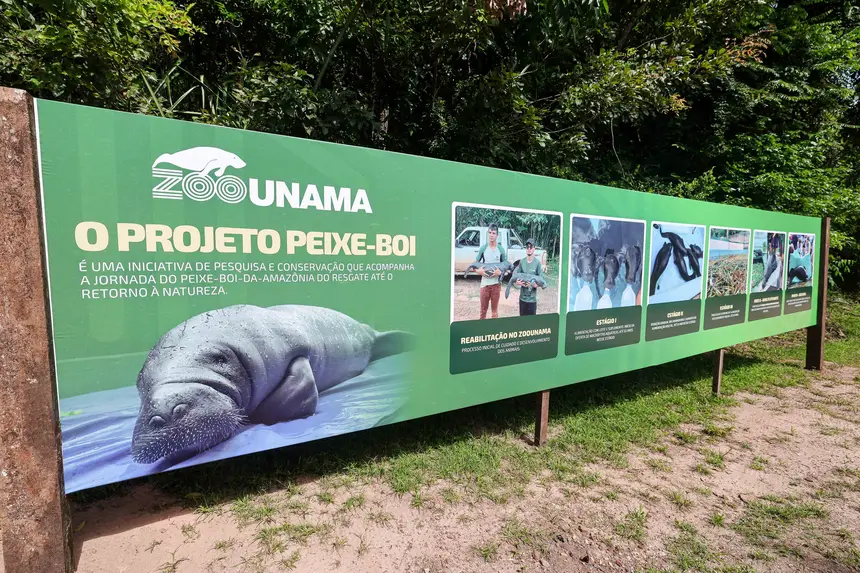  <div class='credito_fotos'>Foto: Marco Santos / Ag. Pará &nbsp;&nbsp;|&nbsp;&nbsp; <a href='/midias/2026/originais/20260324153839-GF00026636-F00503089.jpg' download><i class='fa-solid fa-download'></i> Download</a></div>