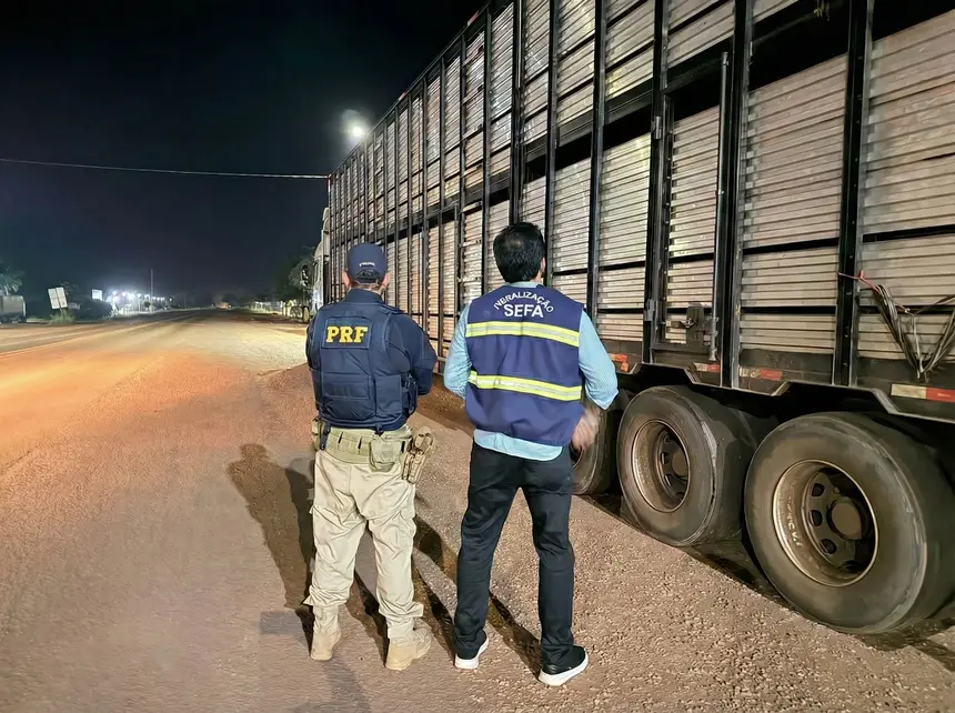 Apreensão de gado pela Sefa no Itinga