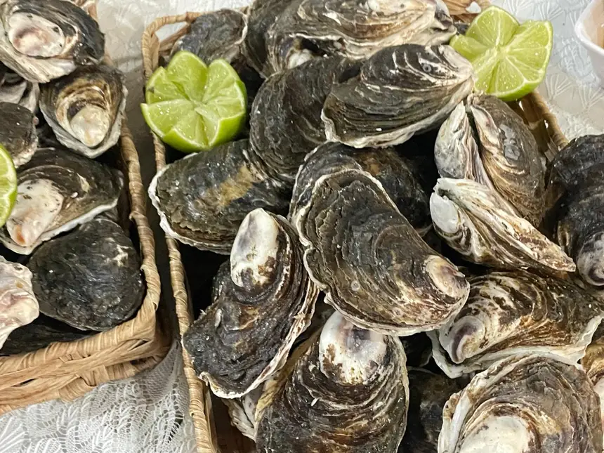 As ostras estão sendo ofertadas entre R$25,00 a R$ 30,00 a dúzia