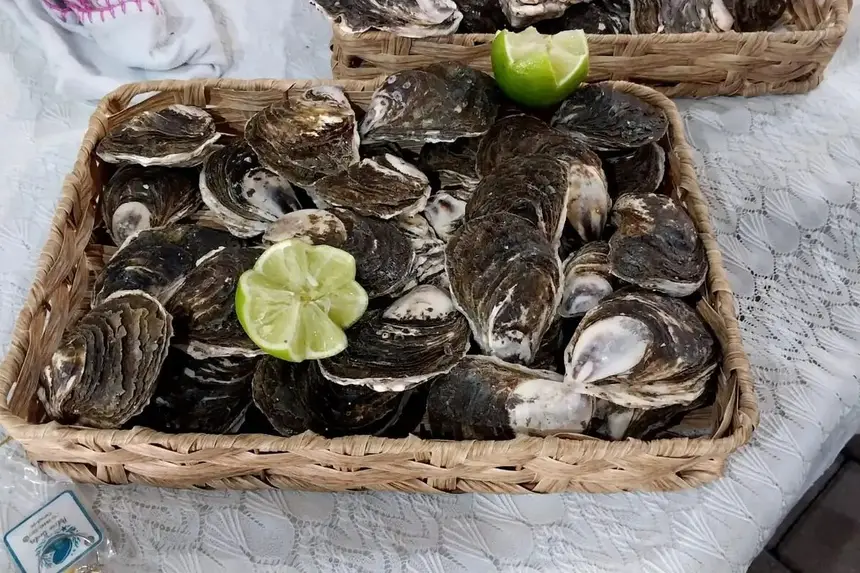 As ostras em diferentes tamanhos estiveram entre os produtos ofertados. 