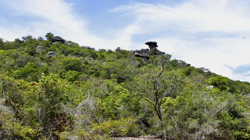 Parque Estadual Monte Alegre
