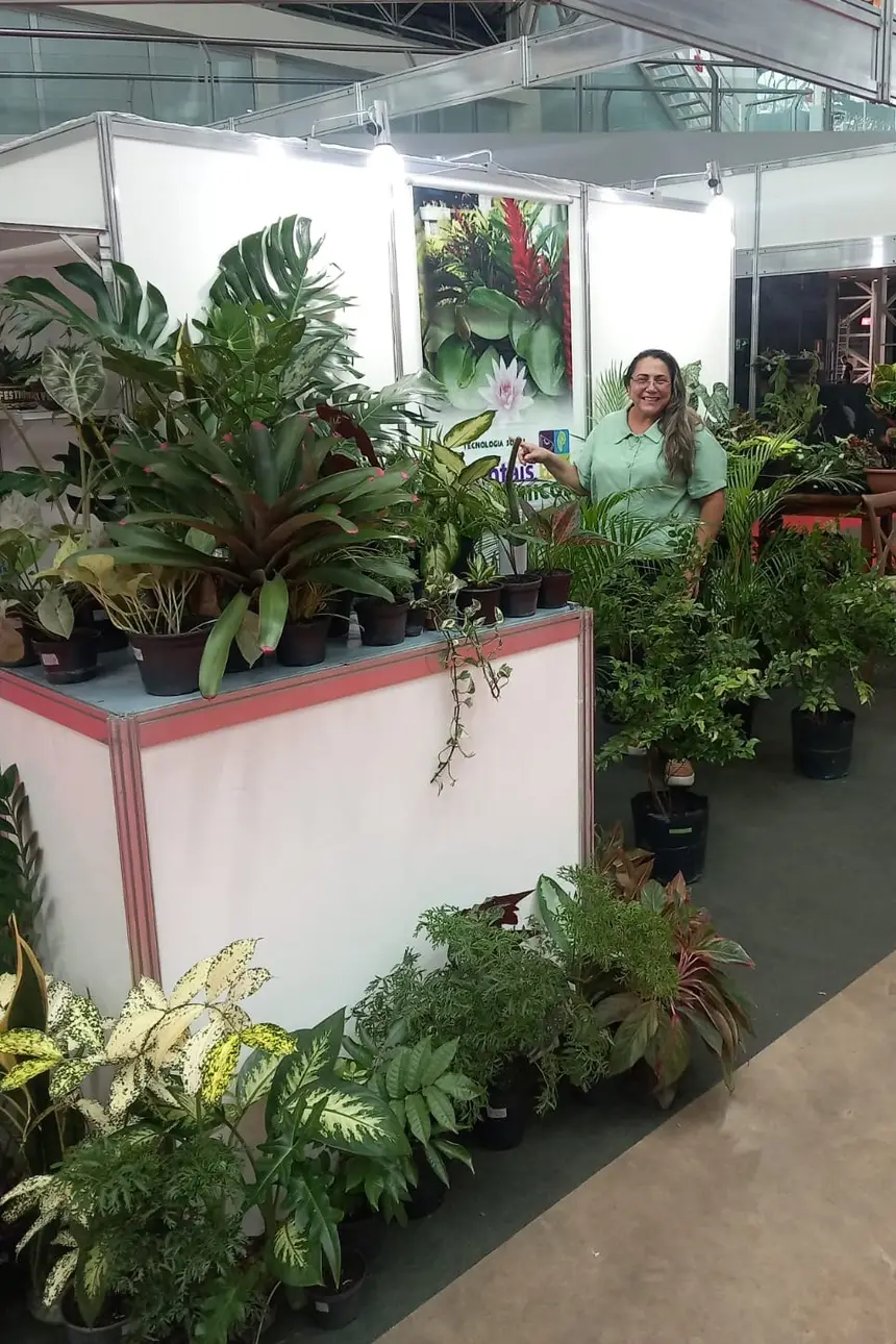 Os estandes dos produtores de plantas estão sendo preparados para o evento que será realizado de hoje até domingo
