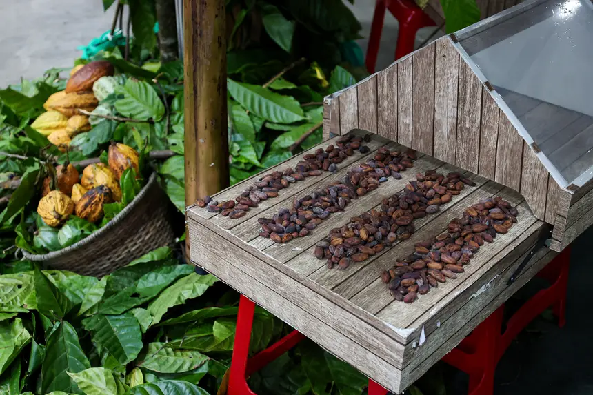  <div class='credito_fotos'>Foto: Bruno Cecim / Ag. Pará &nbsp;&nbsp;|&nbsp;&nbsp; <a href='/midias/2026/originais/20260423213438-GF00026930-F00514857.jpg' download><i class='fa-solid fa-download'></i> Download</a></div>