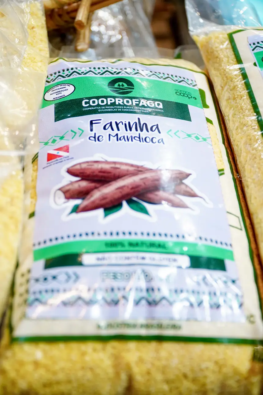  <div class='credito_fotos'>Foto: Diego Garcia / Ag. Pará &nbsp;&nbsp;|&nbsp;&nbsp; <a href='/midias/2026/originais/20260424203032-GF00026937-F00515222.jpg' download><i class='fa-solid fa-download'></i> Download</a></div>