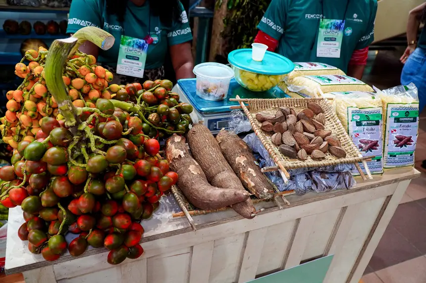  <div class='credito_fotos'>Foto: Diego Garcia / Ag. Pará &nbsp;&nbsp;|&nbsp;&nbsp; <a href='/midias/2026/originais/20260424203035-GF00026937-F00515223.jpg' download><i class='fa-solid fa-download'></i> Download</a></div>