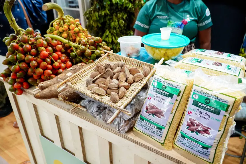  <div class='credito_fotos'>Foto: Diego Garcia / Ag. Pará &nbsp;&nbsp;|&nbsp;&nbsp; <a href='/midias/2026/originais/20260424203038-GF00026937-F00515224.jpg' download><i class='fa-solid fa-download'></i> Download</a></div>