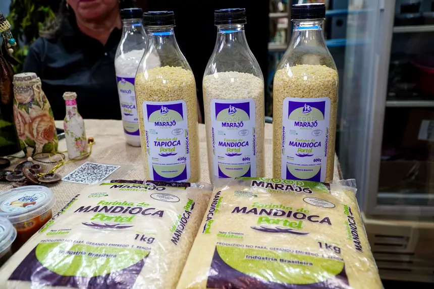  <div class='credito_fotos'>Foto: Diego Garcia / Ag. Pará &nbsp;&nbsp;|&nbsp;&nbsp; <a href='/midias/2026/originais/20260424203051-GF00026937-F00515229.jpg' download><i class='fa-solid fa-download'></i> Download</a></div>