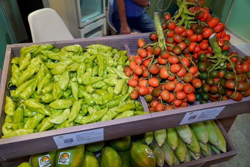  <div class='credito_fotos'>Foto: Diego Garcia / Ag. Pará &nbsp;&nbsp;|&nbsp;&nbsp; <a href='/midias/2026/originais/20260424203254-GF00026937-F00515276.jpg' download><i class='fa-solid fa-download'></i> Download</a></div>