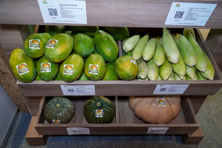  <div class='credito_fotos'>Foto: Diego Garcia / Ag. Pará &nbsp;&nbsp;|&nbsp;&nbsp; <a href='/midias/2026/originais/20260424203257-GF00026937-F00515277.jpg' download><i class='fa-solid fa-download'></i> Download</a></div>