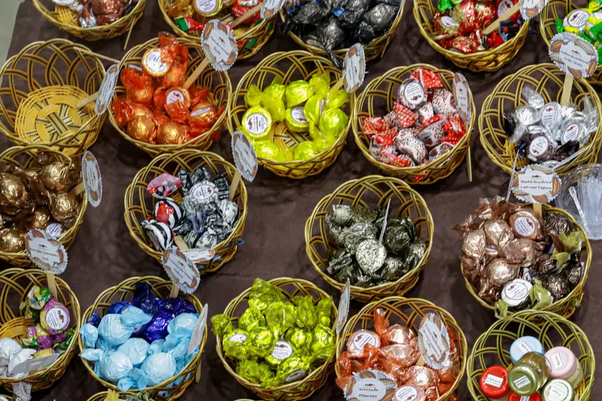  <div class='credito_fotos'>Foto: Pedro Guerreiro / Ag. Pará &nbsp;&nbsp;|&nbsp;&nbsp; <a href='/midias/2026/originais/20260425190648-GF00026947-F00515451.jpg' download><i class='fa-solid fa-download'></i> Download</a></div>