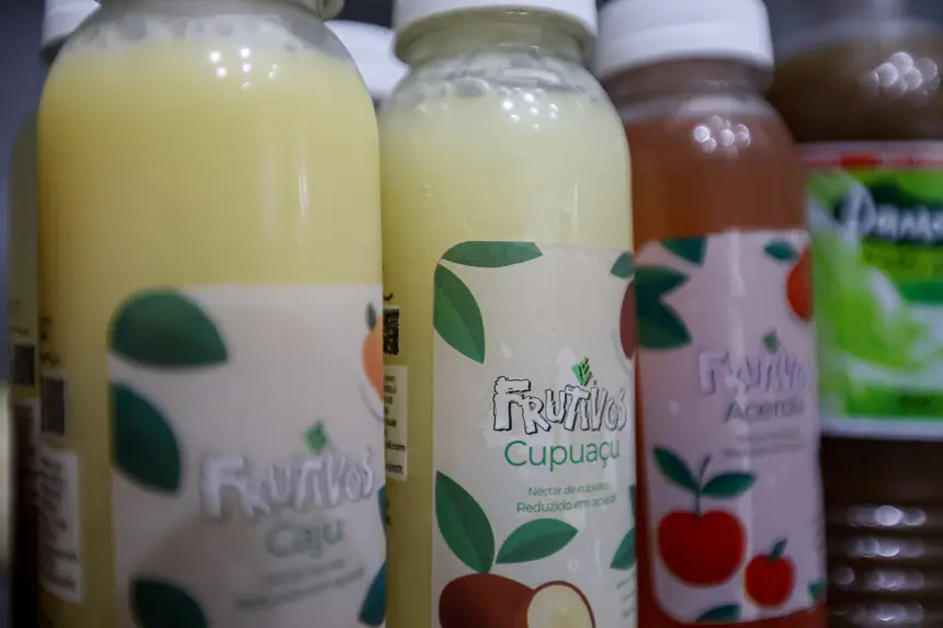  <div class='credito_fotos'>Foto: Pedro Guerreiro / Ag. Pará &nbsp;&nbsp;|&nbsp;&nbsp; <a href='/midias/2026/originais/20260426195018-GF00026950-F00515522.jpg' download><i class='fa-solid fa-download'></i> Download</a></div>