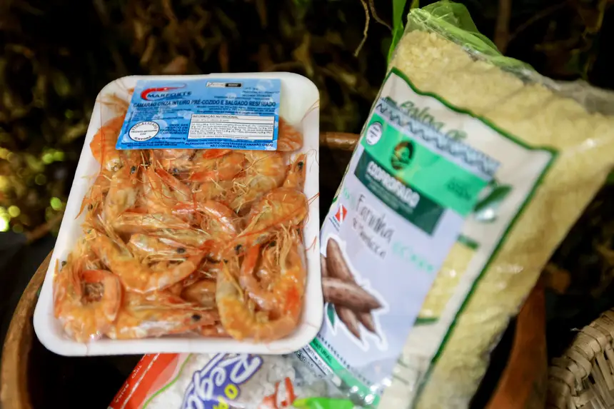  <div class='credito_fotos'>Foto: Pedro Guerreiro / Ag. Pará &nbsp;&nbsp;|&nbsp;&nbsp; <a href='/midias/2026/originais/20260426195029-GF00026950-F00515528.jpg' download><i class='fa-solid fa-download'></i> Download</a></div>