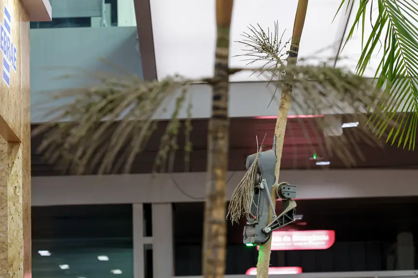  <div class='credito_fotos'>Foto: Pedro Guerreiro / Ag. Pará &nbsp;&nbsp;|&nbsp;&nbsp; <a href='/midias/2026/originais/20260426195108-GF00026950-F00515550.jpg' download><i class='fa-solid fa-download'></i> Download</a></div>