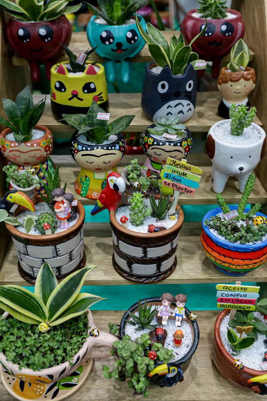  <div class='credito_fotos'>Foto: Pedro Guerreiro / Ag. Pará &nbsp;&nbsp;|&nbsp;&nbsp; <a href='/midias/2026/originais/20260426195137-GF00026950-F00515566.jpg' download><i class='fa-solid fa-download'></i> Download</a></div>