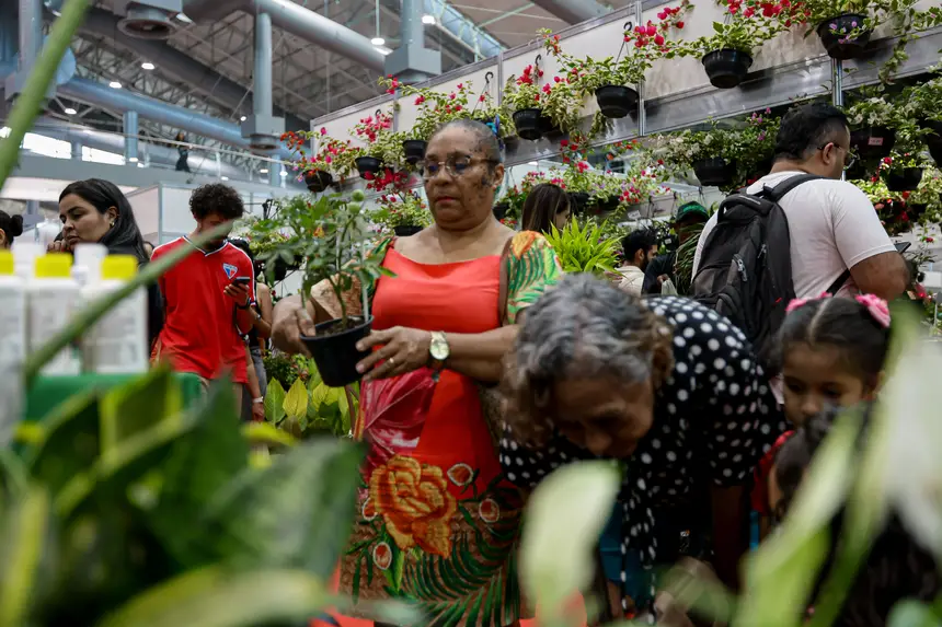 <div class='credito_fotos'>Foto: Pedro Guerreiro / Ag. Pará &nbsp;&nbsp;|&nbsp;&nbsp; <a href='/midias/2026/originais/20260426195139-GF00026950-F00515567.jpg' download><i class='fa-solid fa-download'></i> Download</a></div>