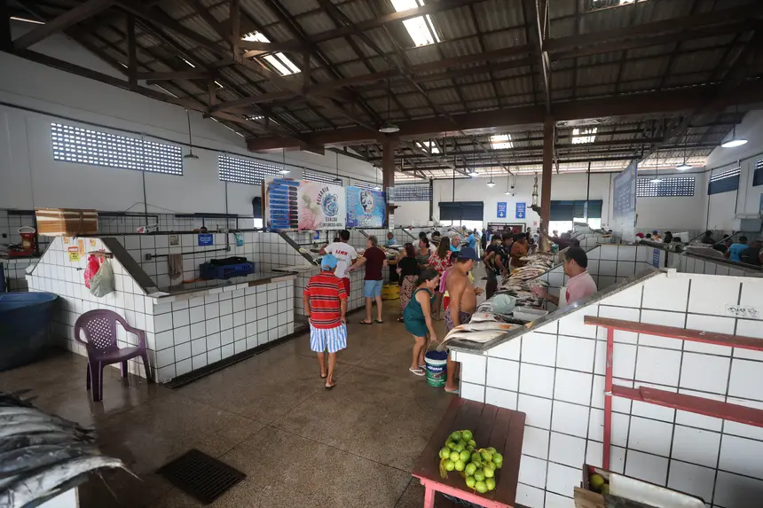  <div class='credito_fotos'>Foto: Rodrigo Pinheiro / Ag. Pará &nbsp;&nbsp;|&nbsp;&nbsp; <a href='/midias/2026/originais/20260501105847-GF00026989-F00517206.jpg' download><i class='fa-solid fa-download'></i> Download</a></div>