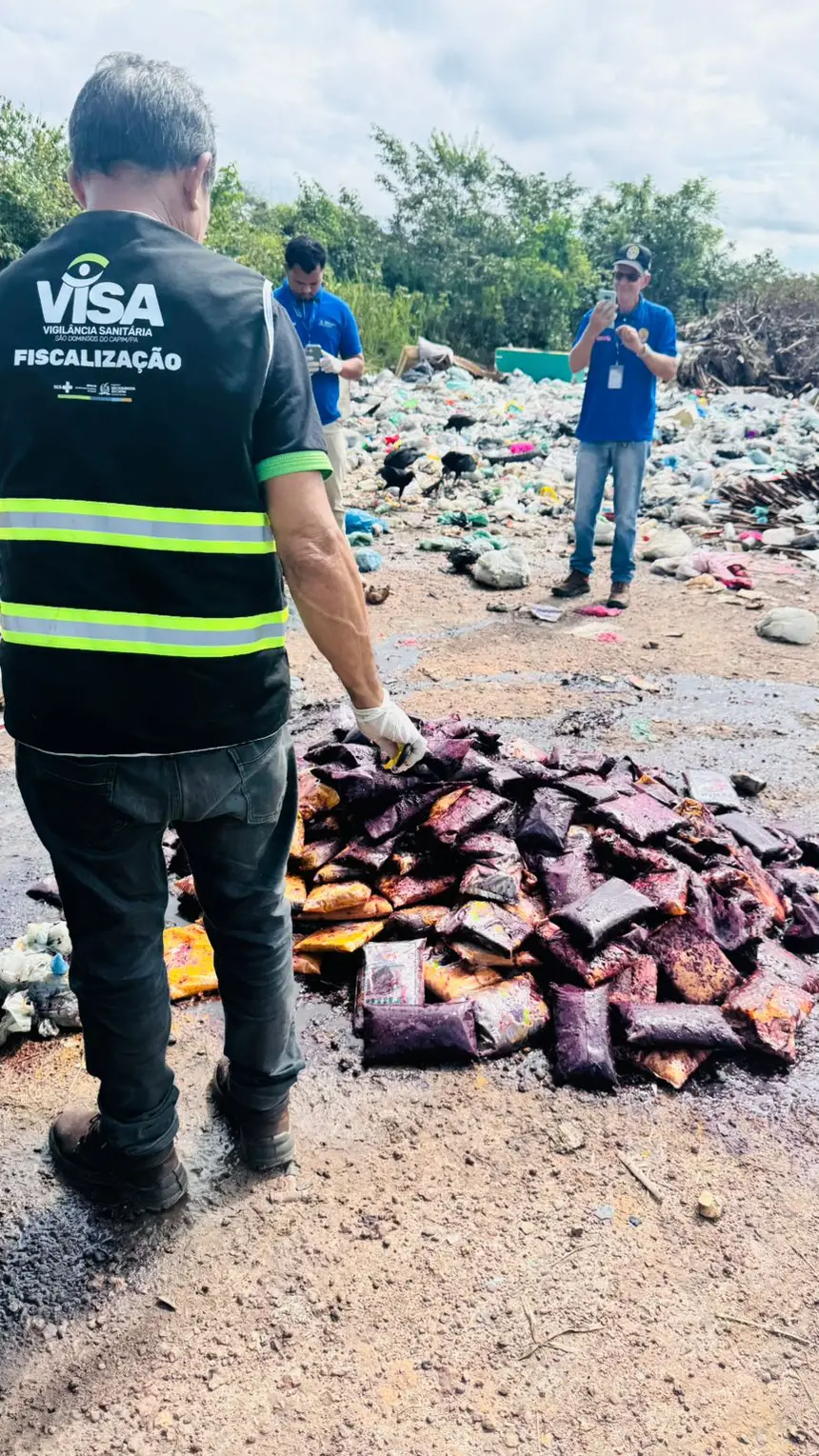 inutilização das polpas clandestinas