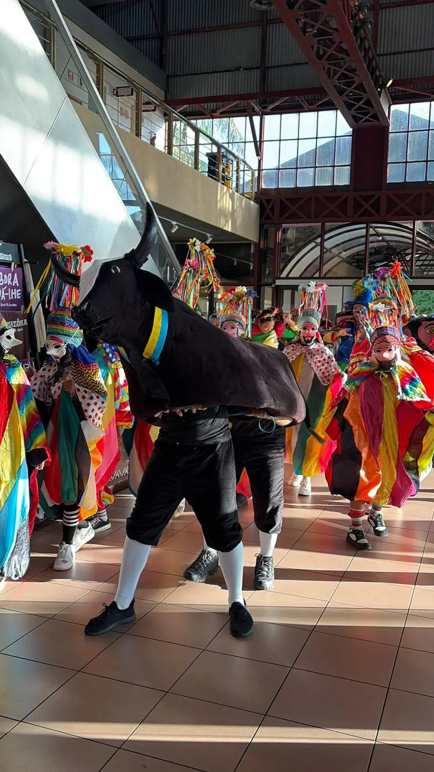 Cortejo com Boi Veludinho percorreu armazéns e Orla da Estação