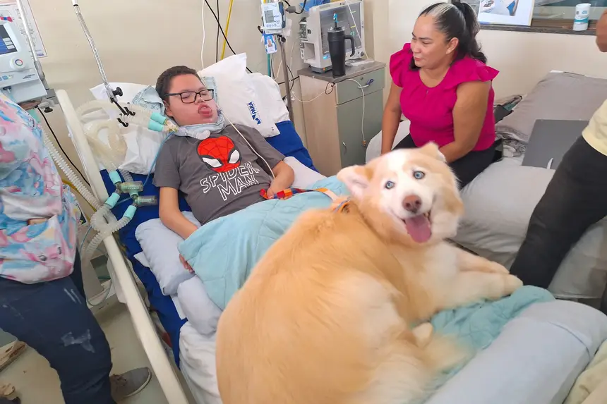 Pacientes aguardam visitas dos cães