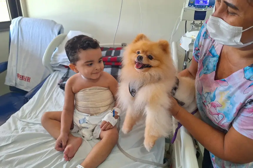 Visita dos cães ameniza ambiente hospitalar