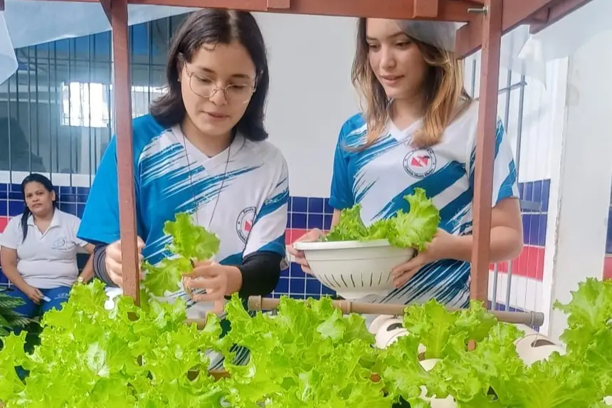 Divulgação