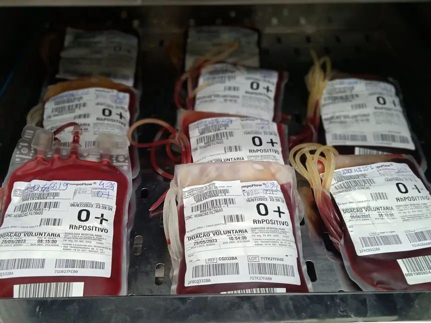 Bolsas de sangue ajudam a garantir assistência a pacientes que necessitam de transfusões