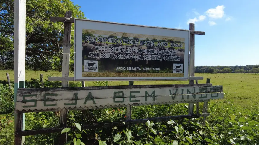 Na entrada da Fazenda Mironga o queijo e o búfalo são as vitrines para quem quer conhecer o espaço
