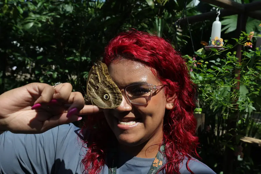 Técnica ambiental e especialista em aves do Mangal, Beatriz Tavares