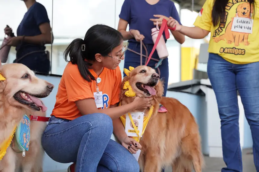 Colaboradores aproveiam o contato com os goldens