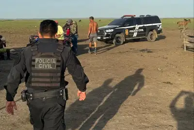 notícia: No Marajó, PC cumpre mandados de busca e apreensão por roubo e furto de gado