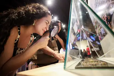 notícia: “Uma Noite no Museu” tem sucesso de público na primeira edição de 2026