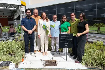 notícia: Governo do Pará participa de plantio de muda de castanheira em homenagem a Belém
