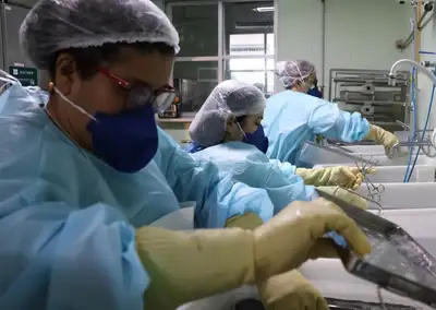 notícia: Farmácia do HC garante segurança e eficiência em procedimentos de alta complexidade