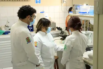 notícia: Seleção para o mestrado em Cirurgia e Pesquisa Experimental recebe inscrições até dia 27 de fevereiro