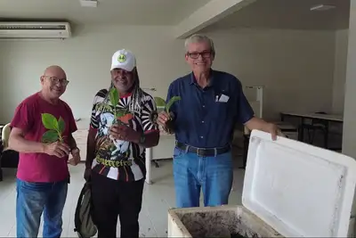 notícia: Sedap repassa mil mudas de bananeiras para a comunidade Mari-Mari II em Mosqueiro