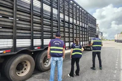 notícia: Sefa apreende gado em Cachoeira do Piriá