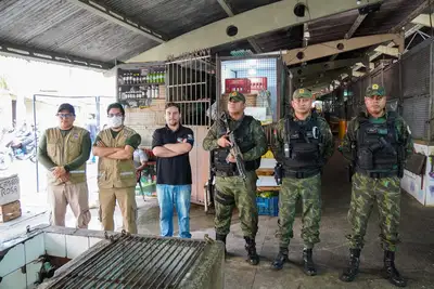 notícia: Defeso do caranguejo-uçá: conscientização e fiscalização garantem proteção da espécie 