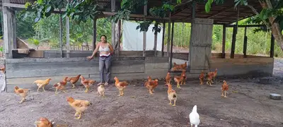 notícia: Emater amplia parcerias e reforça produção de agricultores familiares em Breves