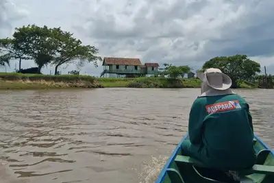 notícia: Parceria entre produtores e Adepará fortalece combate à raiva animal no arquipélago do Marajó