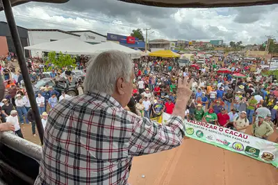 notícia: Governo do Pará articula com o Ministério da Agricultura medidas para proteger preço do cacau e barrar importações