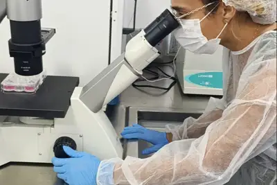 notícia: Mulheres e meninas na Ciência: Pará avança para reduzir desafios e ampliar conquistas