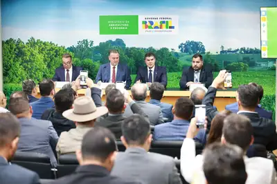 notícia: Helder Barbalho articula em Brasília a valorização do cacau, dendê e abertura do mercado dos EUA para a carne bovina paraense