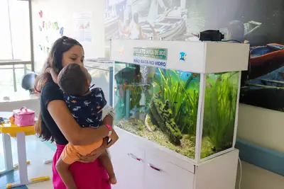 notícia: Imagens e plantas tornam ambiente mais acolhedor na Santa Casa