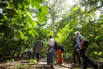 notícia: Governo do Pará implementa Plano de Gestão para garantir futuro sustentável da ilha do Combu