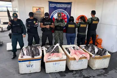 notícia: Base Candiru apreende mais de meia tonelada de pescado irregular